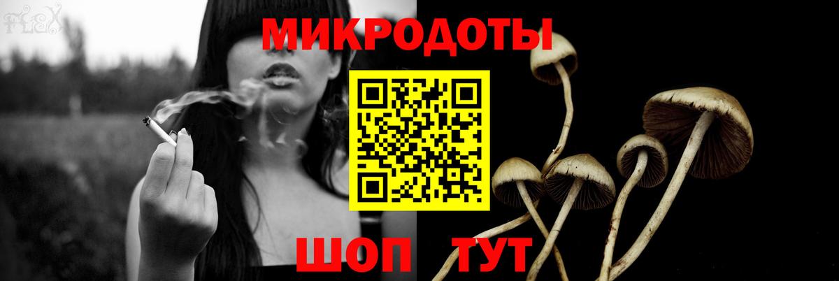 Ульяновск  Псилоцибиновые грибы Psilocybine cubensis  Вход с VPN 